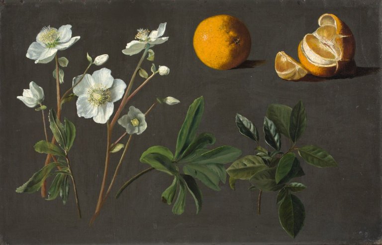 Auf diesem Bild ist das folgende Kunstwerk zu sehen:  Dänisch, um 1850. Stilleben.