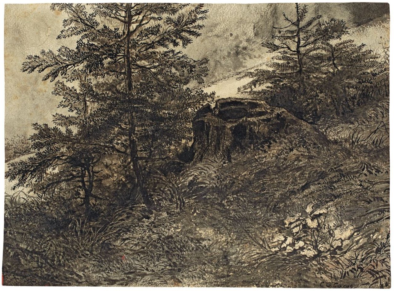 This picture shows the following artwork: Carl Gustav Carus. Waldstudie. 1837.