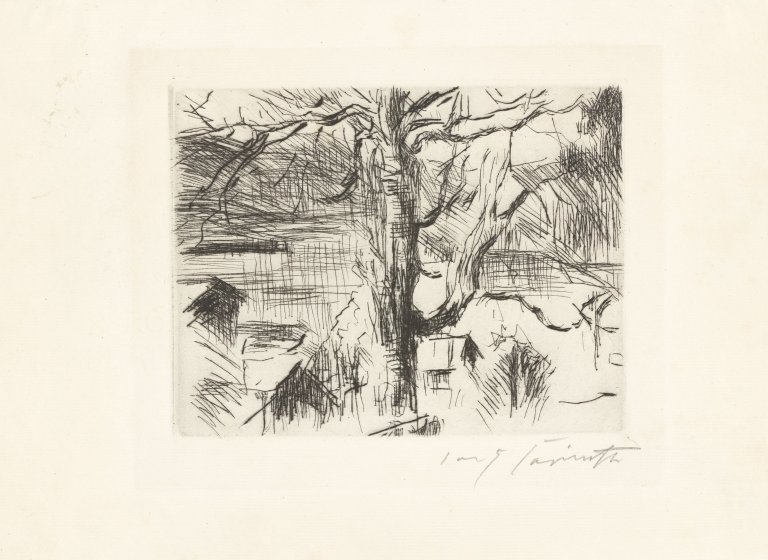 This picture shows the following artwork: Lovis Corinth. „Baum am Walchensee“. 1924.