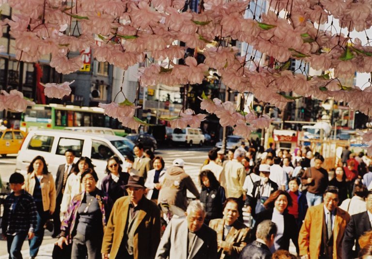 Auf diesem Bild ist das folgende Kunstwerk zu sehen: Martin Parr. Cherry blossom time in Tokyo. 2000.