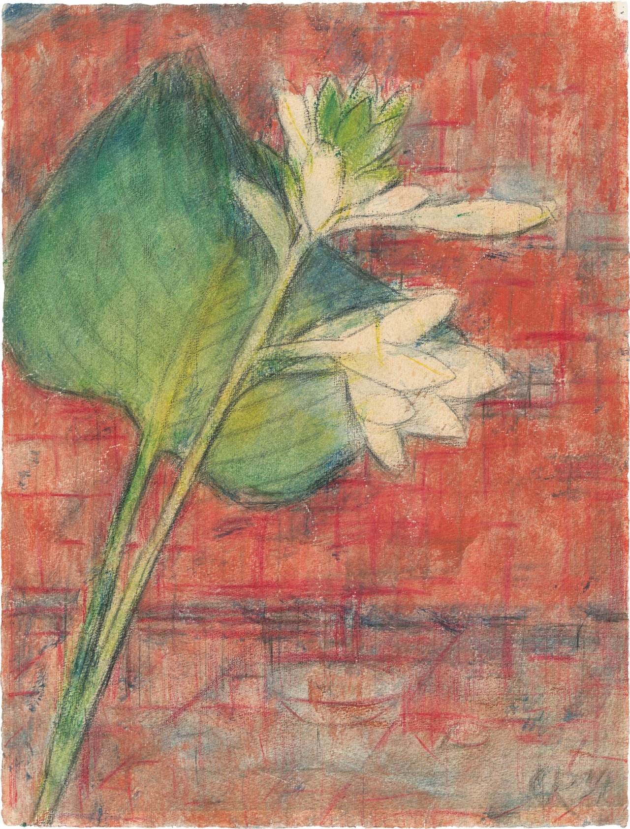 This picture shows the following artwork: Christian Rohlfs. ”Herzblattlilien auf rotem Grund”. 1934.