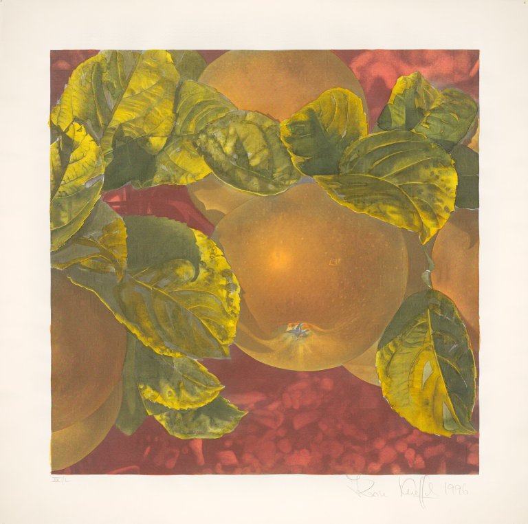This picture shows the following artwork: Karin Kneffel. Apples. 1996.