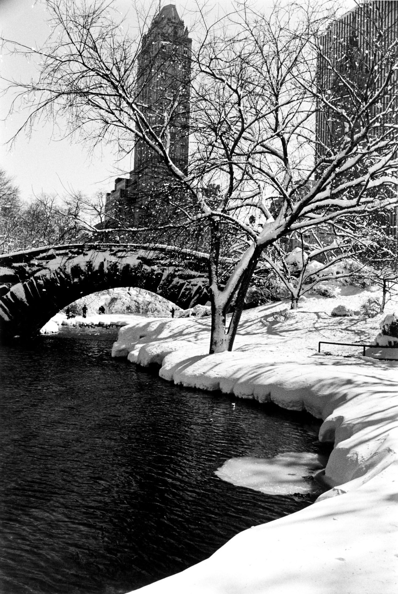 Auf diesem Bild ist das folgende Kunstwerk zu sehen: Alfred Eisenstaedt. Central Park after a Snowstorm, New York. 1959.