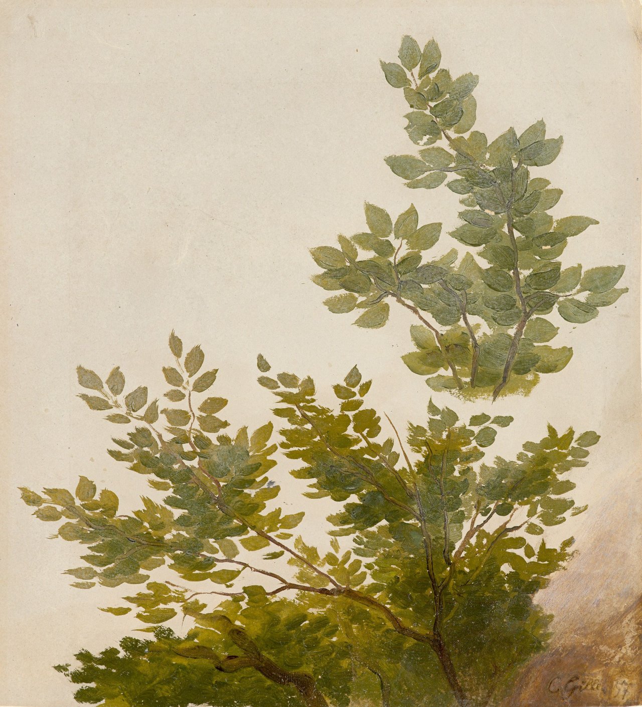 This picture shows the following artwork: Christian Friedrich Gille. Beech Branches. 1857.
