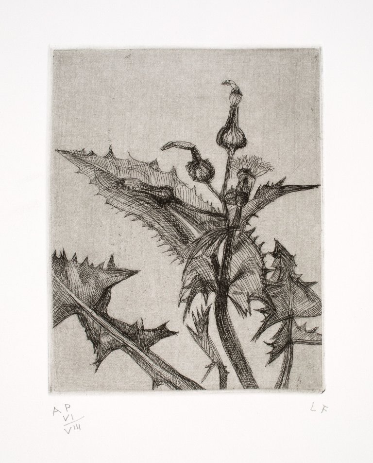 Auf diesem Bild ist das folgende Kunstwerk zu sehen: Lucian Freud. „Thistle“. 1985.
