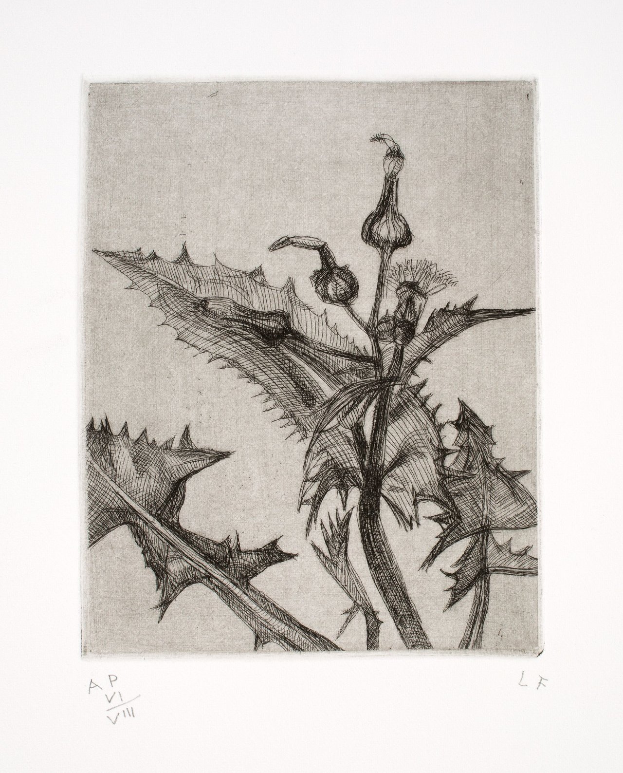 Auf diesem Bild ist das folgende Kunstwerk zu sehen: Lucian Freud. „Thistle“. 1985.