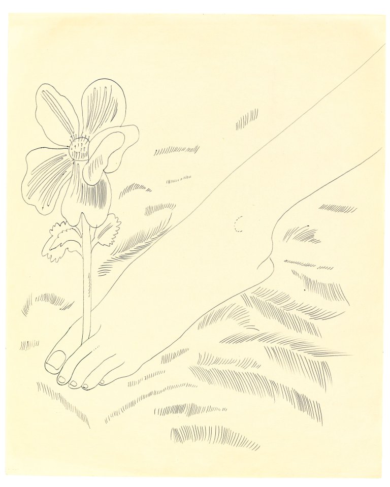 This picture shows the following artwork: Andy Warhol. Foot with Flower. Circa 1954.
