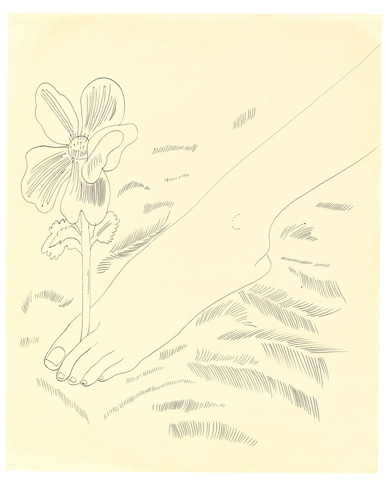 This picture shows the following artwork: Andy Warhol. Foot with Flower. Circa 1954.