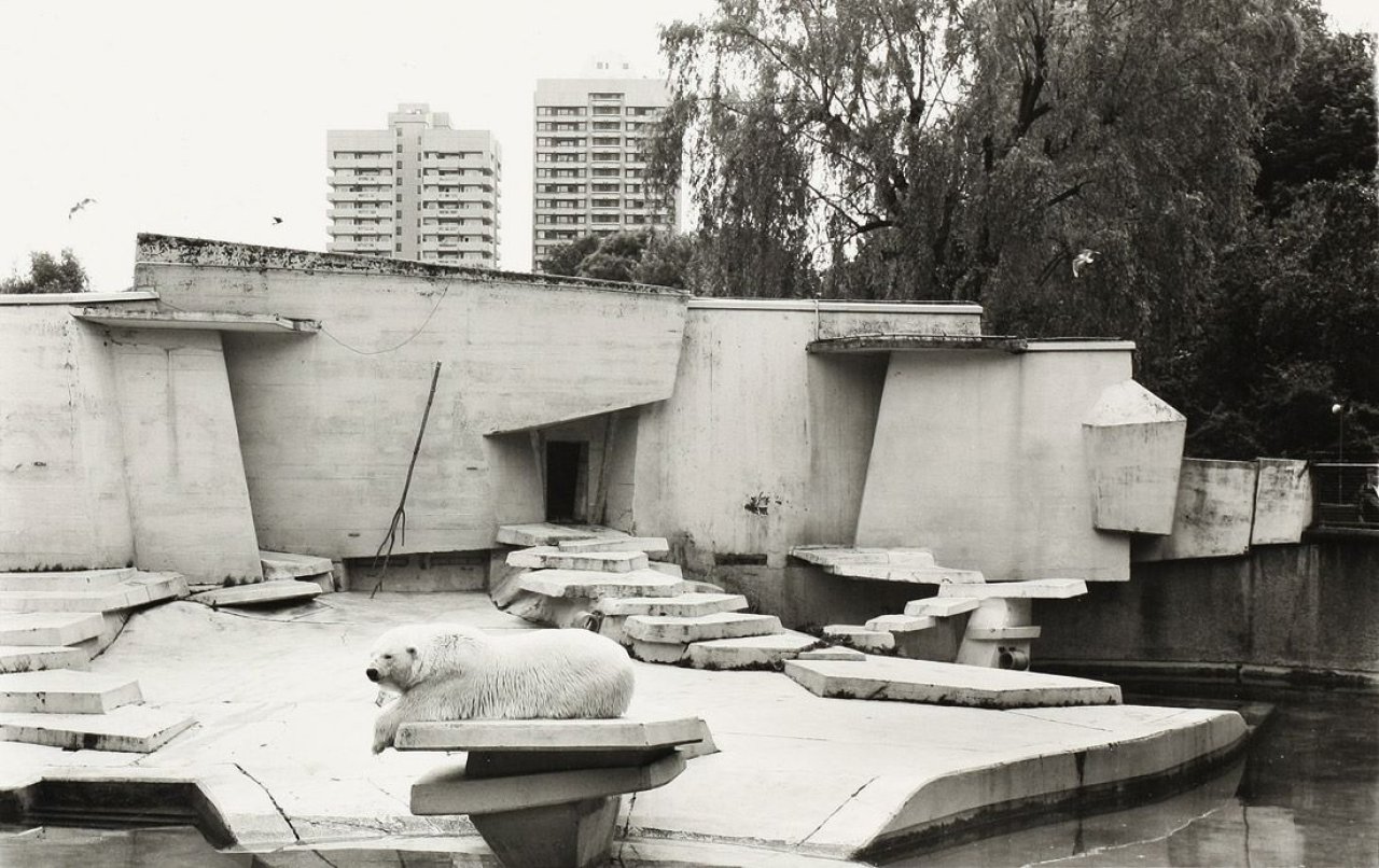 This picture shows the following artwork: Candida Höfer. „Zoologischer Garten Köln“. 1991/1997.