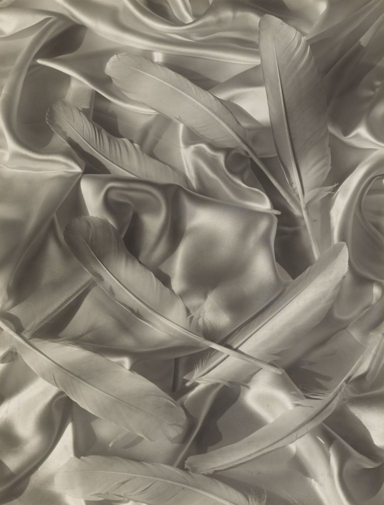 Auf diesem Bild ist das folgende Kunstwerk zu sehen: Emmanuel Sougez (d.i. Louis-Victor-Emmanuel Sougez). Satin et Plumes. 1933.