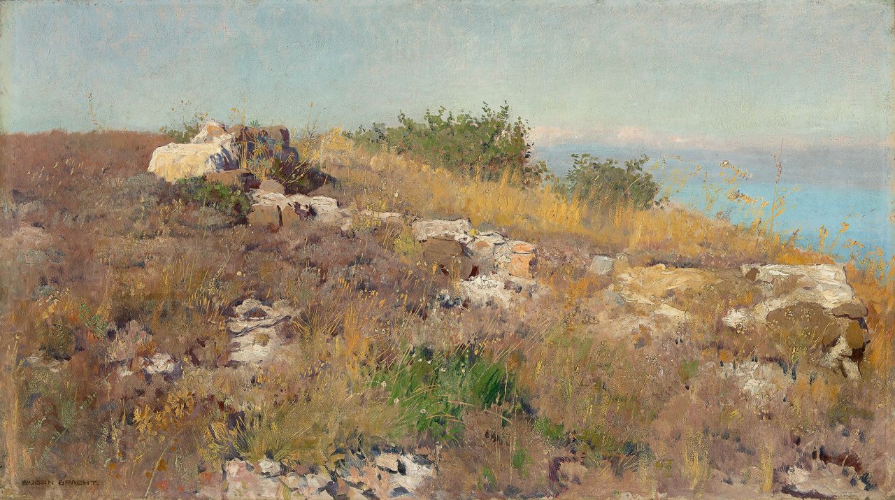 Auf diesem Bild ist das folgende Kunstwerk zu sehen: Eugen Bracht. „Vordergrundstudie am Mittelmeer“. 1893.