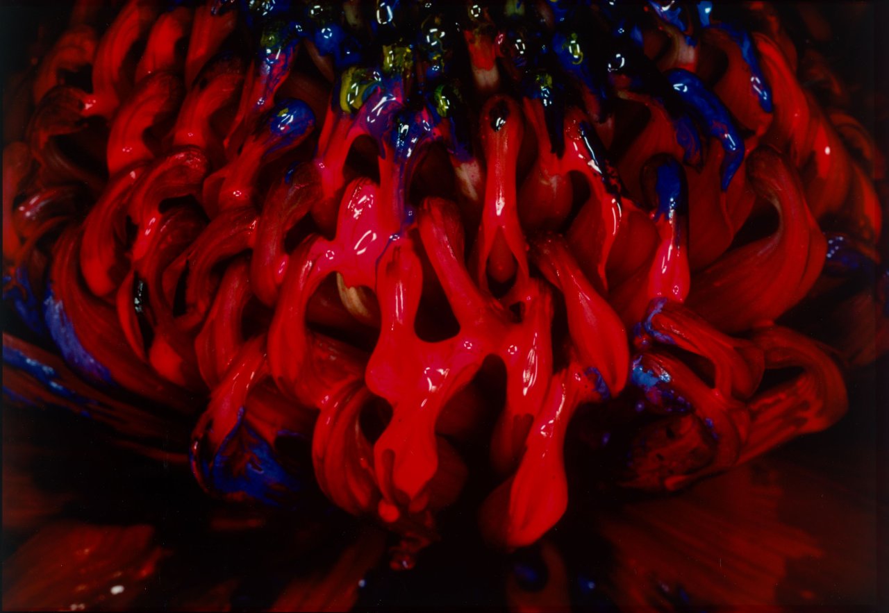 This picture shows the following artwork: Nobuyoshi Araki. From the series ”Painting Flower”. 2004.