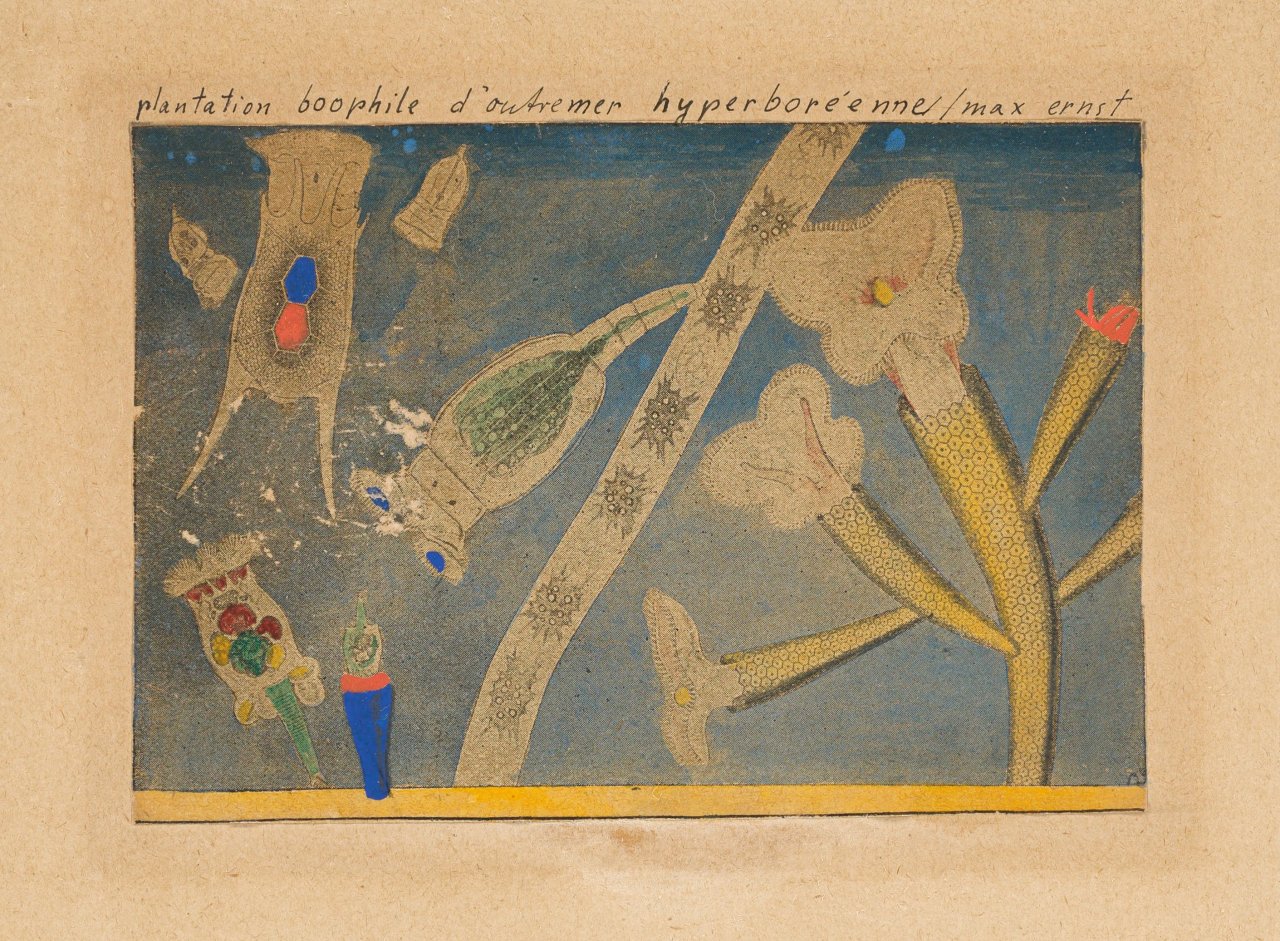 Auf diesem Bild ist das folgende Kunstwerk zu sehen: Max Ernst. „Plantation boophile d'outremer hyperboréenne“. 1921.