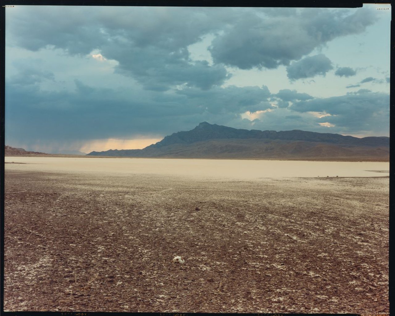 Auf diesem Bild ist das folgende Kunstwerk zu sehen: Richard Misrach. „Skull and Storm“. 1986.