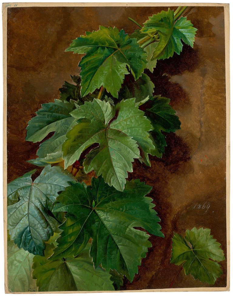 Auf diesem Bild ist das folgende Kunstwerk zu sehen: Ferdinand Küss. Weinranken. 1869.