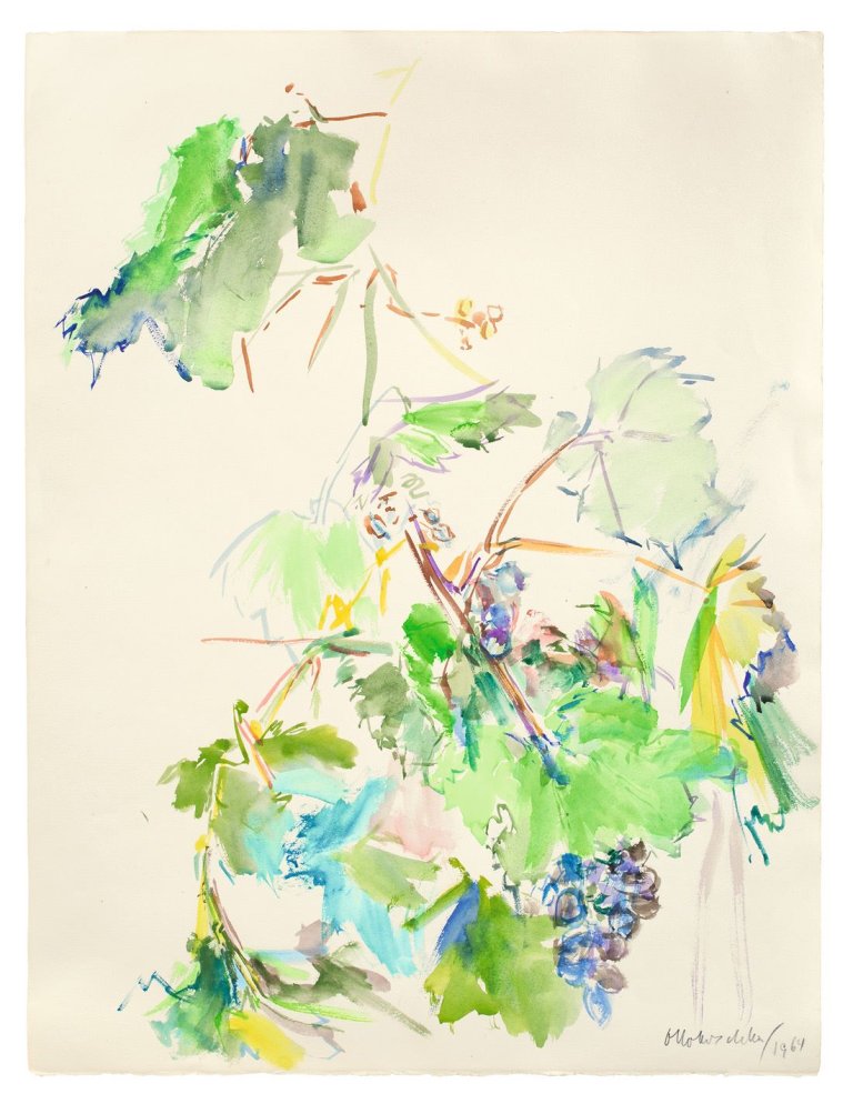 Auf diesem Bild ist das folgende Kunstwerk zu sehen: Oskar Kokoschka. Weinlaub. 1964.