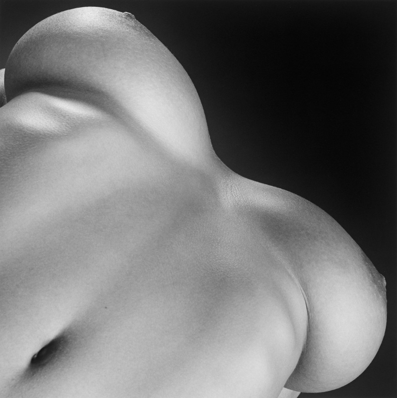 This picture shows the following artwork: Robert Mapplethorpe. Breasts. 1987.