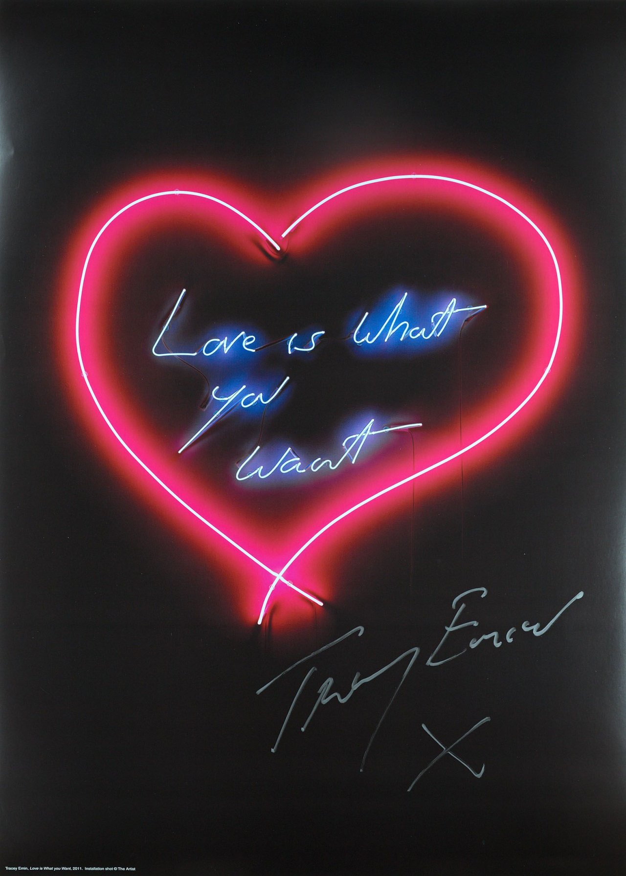 Auf diesem Bild ist das folgende Kunstwerk zu sehen: Tracey Emin. „Love is what you want“ / „My favorite little bird“. 2010/2011.