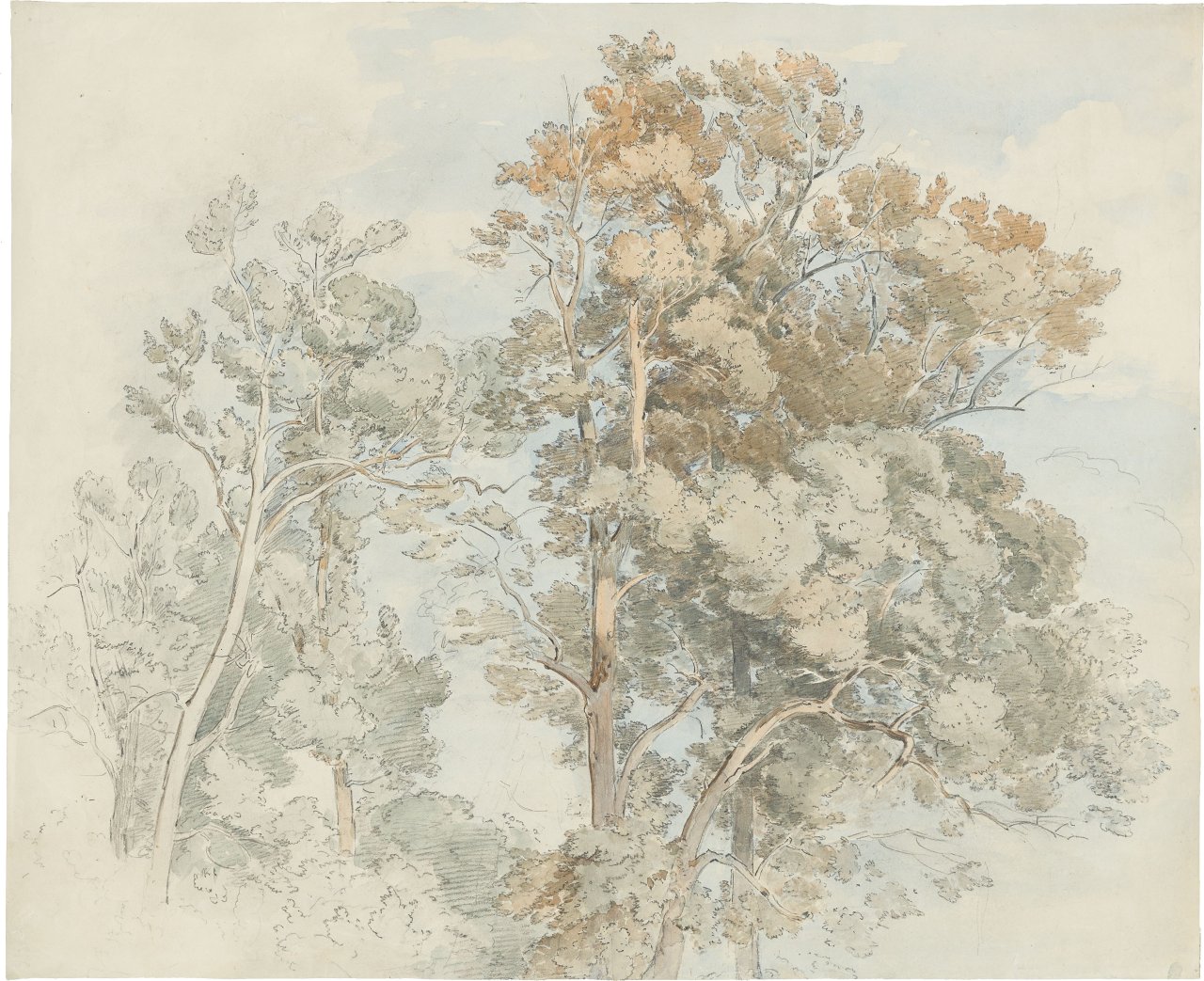 Auf diesem Bild ist das folgende Kunstwerk zu sehen: Christian Bernhard Morgenstern. Baumgruppe.