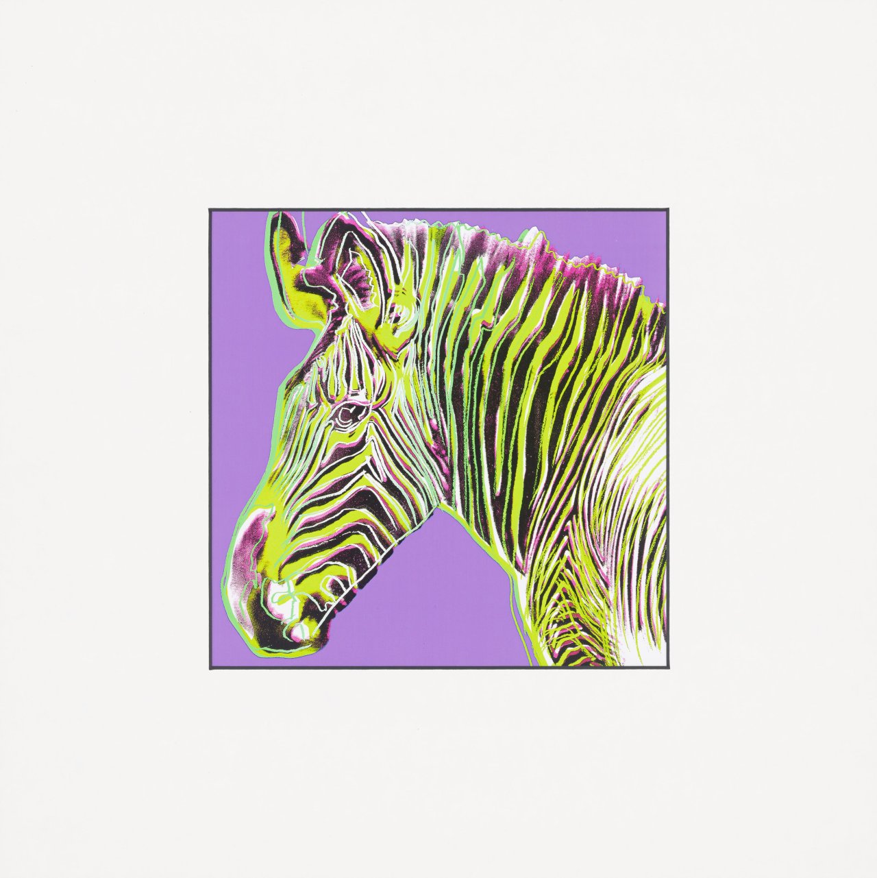 This picture shows the following artwork: Andy Warhol. ”Endangered Species”. 1987.