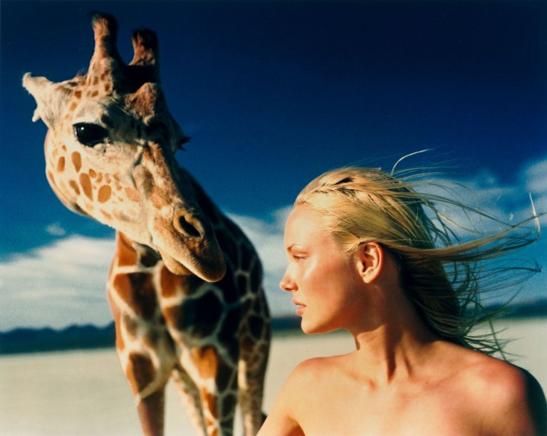 Auf diesem Bild ist das folgende Kunstwerk zu sehen: Michel Comte. „In the Desert“. 1999.