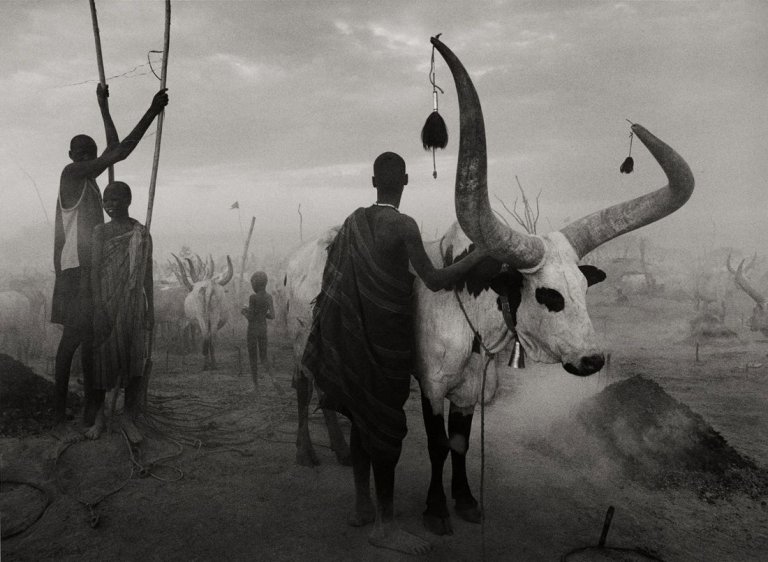 Auf diesem Bild ist das folgende Kunstwerk zu sehen: Sebastião  Salgado. „Sud-Soudan“. 2006.