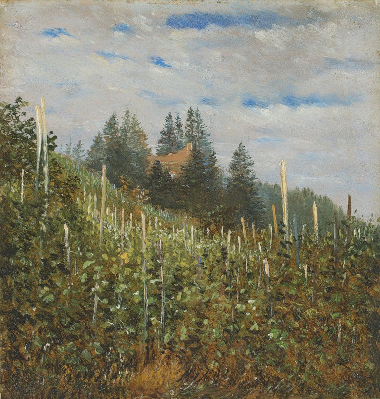 This picture shows the following artwork: Carl Gustav Carus. Sunny vineyard in Pillnitz. Circa 1830/40.