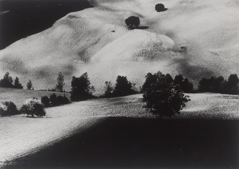 Auf diesem Bild ist das folgende Kunstwerk zu sehen: Mario Giacomelli. Aus der Serie: „Metamorfosi della terra“. 1971.