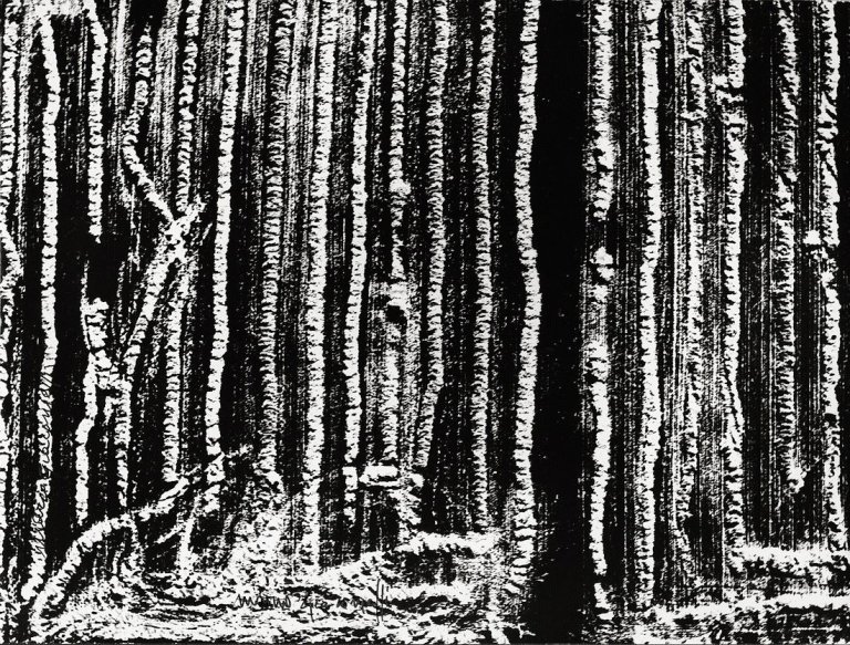 Auf diesem Bild ist das folgende Kunstwerk zu sehen: Mario Giacomelli. Ohne Titel (Landschaft). 1980er Jahre.