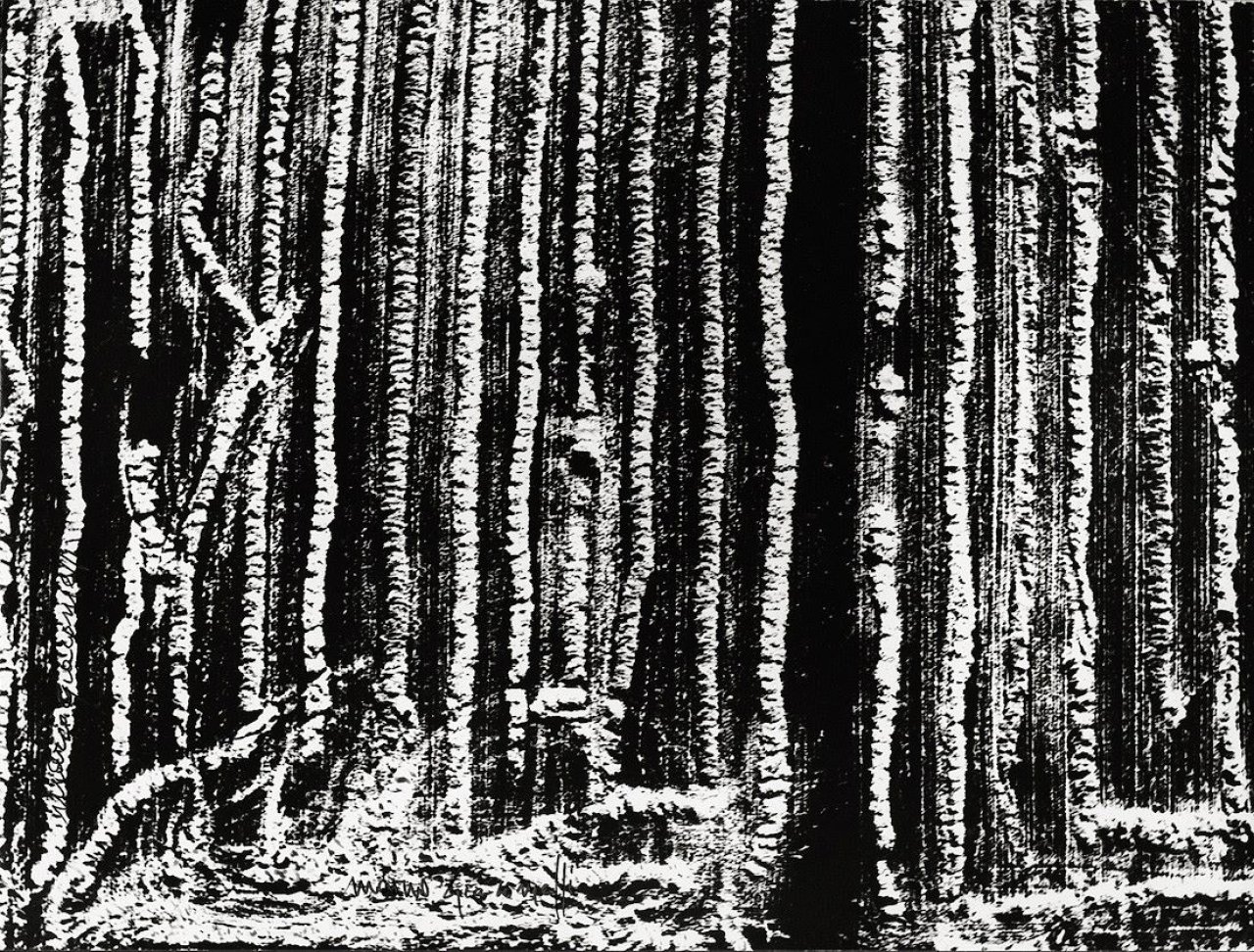 Auf diesem Bild ist das folgende Kunstwerk zu sehen: Mario Giacomelli. Ohne Titel (Landschaft). 1980er Jahre.
