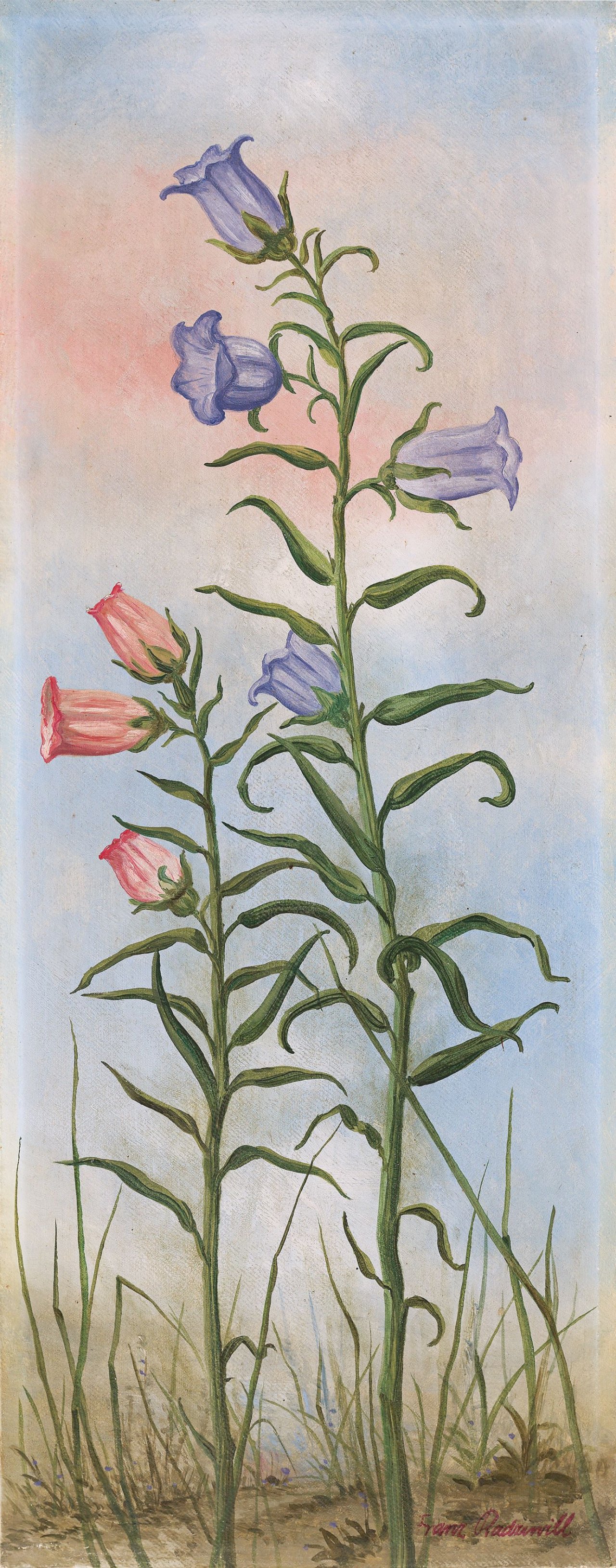 This picture shows the following artwork: Franz Radziwill. ”Glockenblumen”. (before) 1938.
