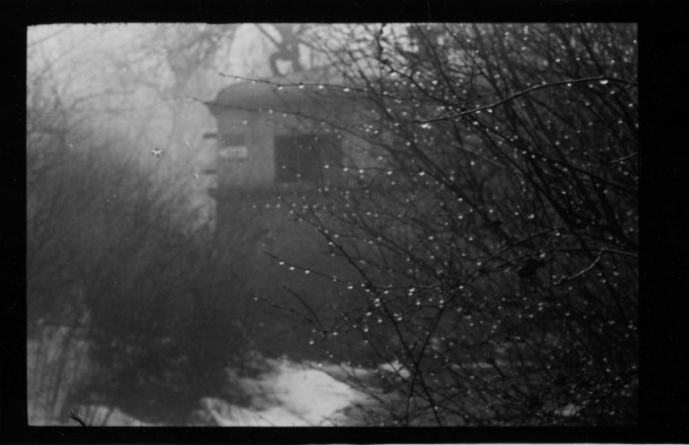 Auf diesem Bild ist das folgende Kunstwerk zu sehen: Josef Sudek. Ohne Titel (Zweige mit Tropfen). 1958.