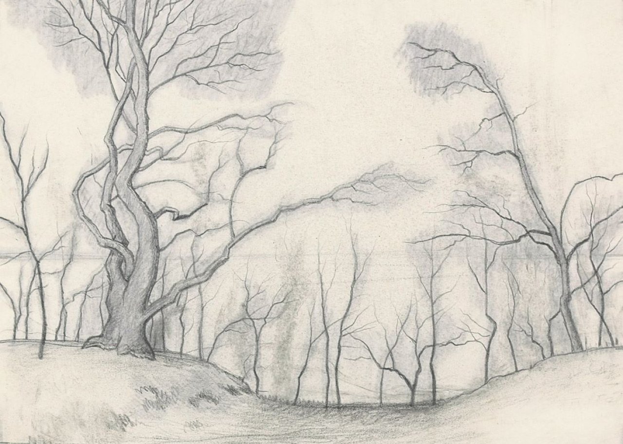 This picture shows the following artwork: Gustav Wunderwald. Entlaubte Bäume und Sträucher.