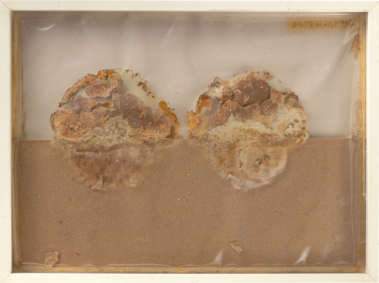 Auf diesem Bild ist das folgende Kunstwerk zu sehen: Dieter Roth. „Kleine Landschaft“. 1969.