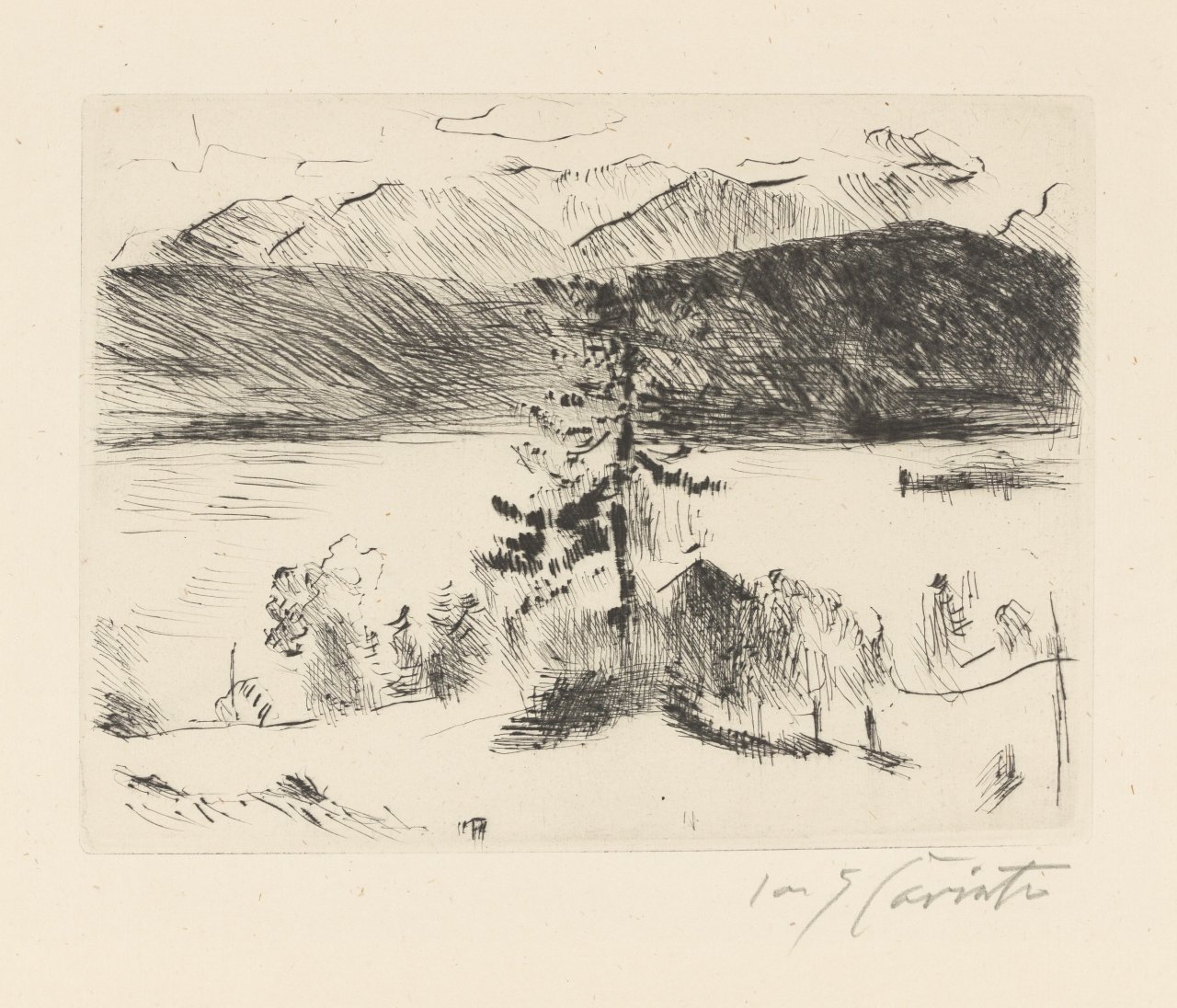 Auf diesem Bild ist das folgende Kunstwerk zu sehen: Lovis Corinth. „Lärche am Walchensee“. 1923.