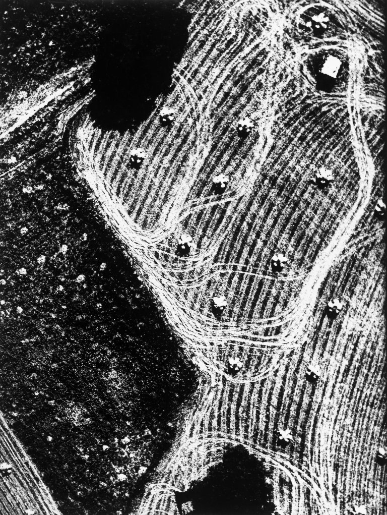 Auf diesem Bild ist das folgende Kunstwerk zu sehen: Mario Giacomelli. Aus der Serie „Presa di coscienza sulla natura“. 1980er–Jahre.