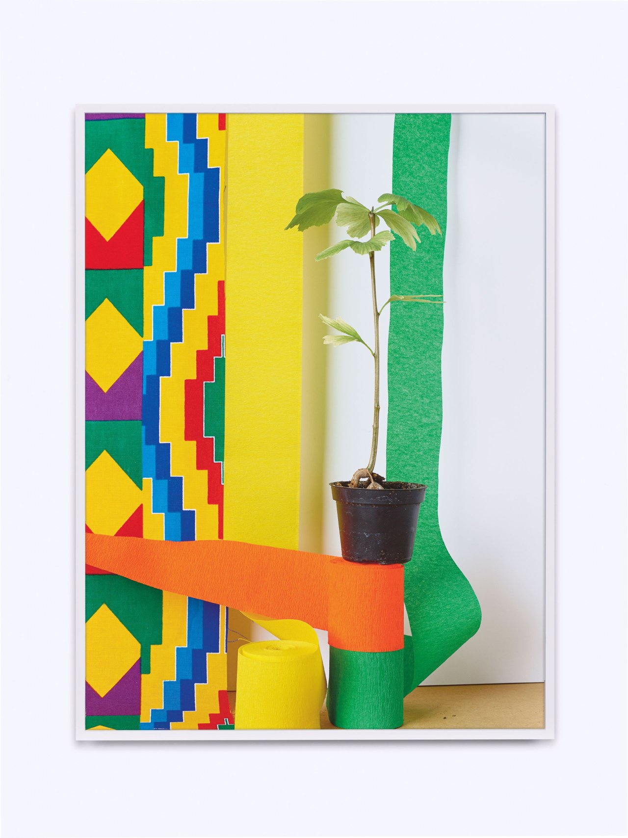 Auf diesem Bild ist das folgende Kunstwerk zu sehen: Annette Kelm. Gingko. 2019.