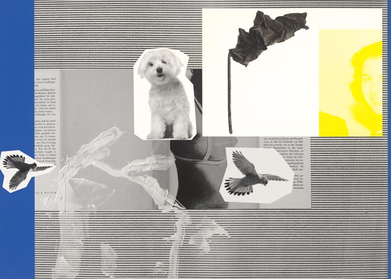 Auf diesem Bild ist das folgende Kunstwerk zu sehen: Rosemarie Trockel. „The Medium is the Message“. 2014.
