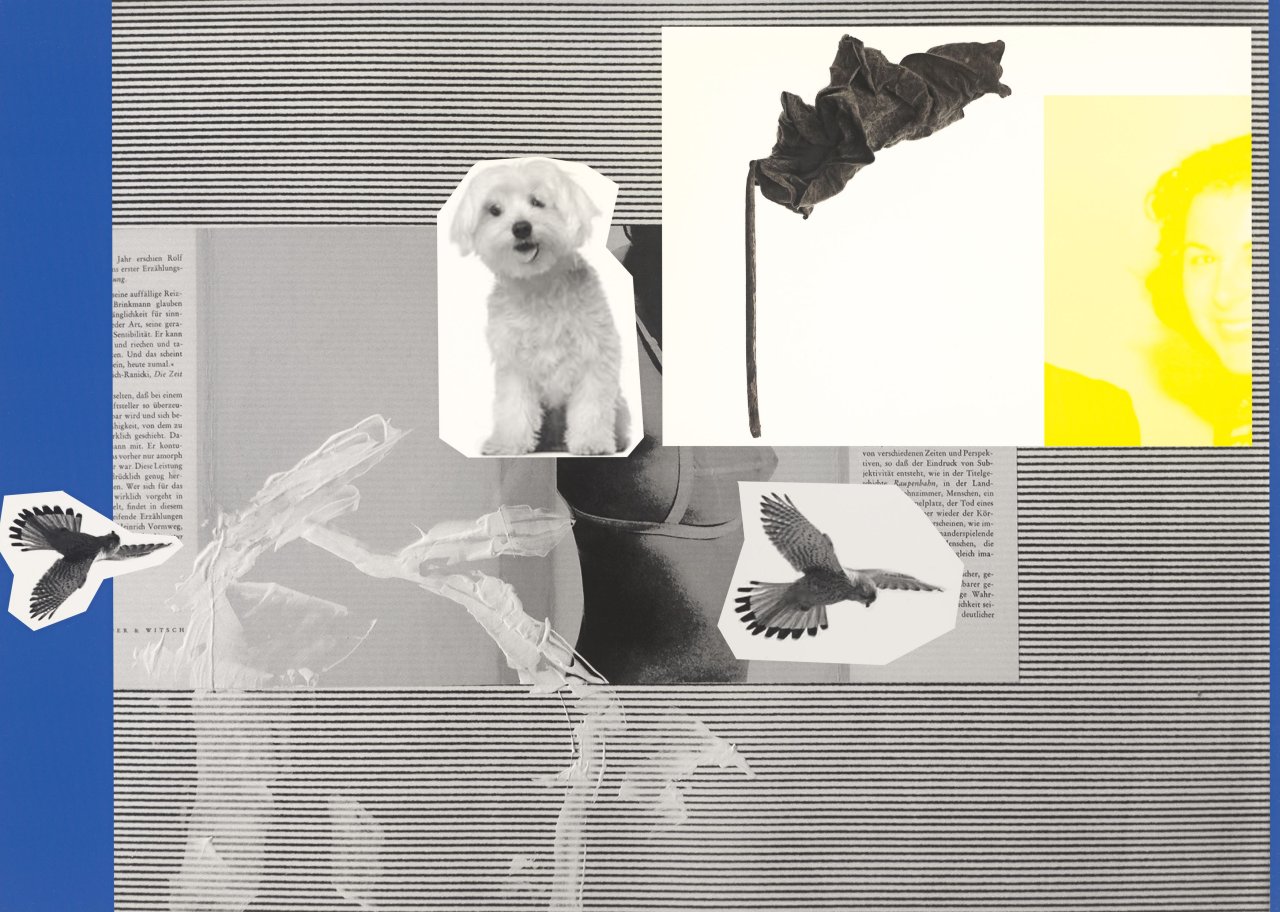 Auf diesem Bild ist das folgende Kunstwerk zu sehen: Rosemarie Trockel. „The Medium is the Message“. 2014.