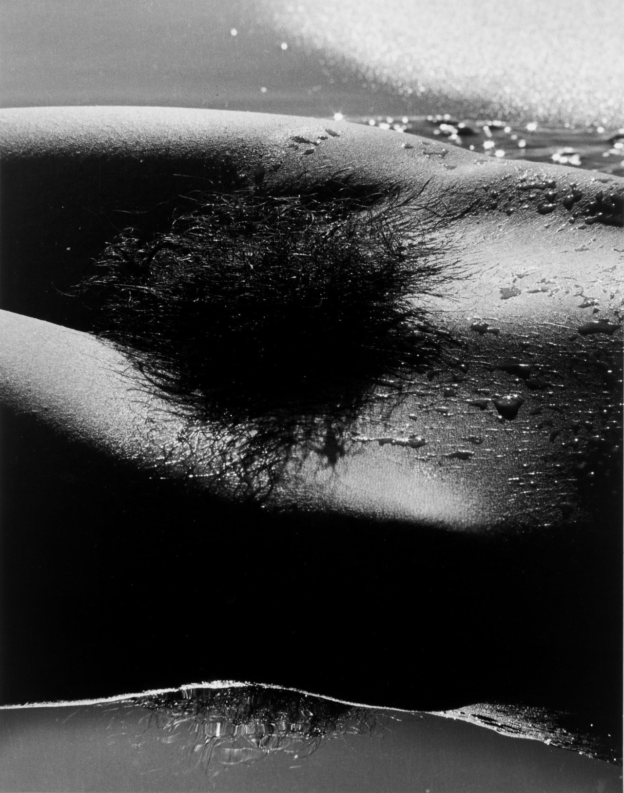 Auf diesem Bild ist das folgende Kunstwerk zu sehen: Lucien Clergue. „Genèse“, aus der Serie „Nu de la Mer“ (Camargue). Um 1965.