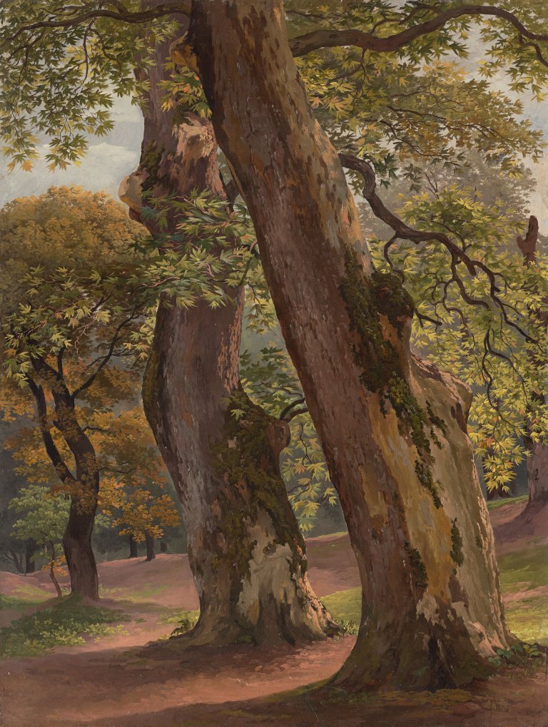 Auf diesem Bild ist das folgende Kunstwerk zu sehen: Johann Christian Reinhart. Platanen im Park der Villa Borghese in Rom. 1792.