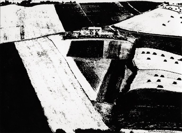 Auf diesem Bild ist das folgende Kunstwerk zu sehen: Mario Giacomelli. „Luglio“, aus: „Metamorfosi della terra“. 1960–1980.