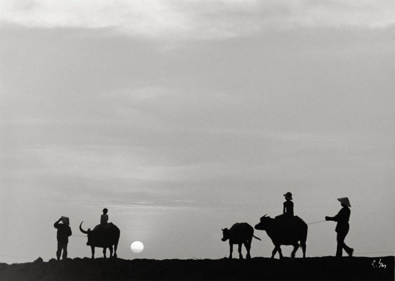 Auf diesem Bild ist das folgende Kunstwerk zu sehen: Dien Khanh Do. „Sunset, Châu-Doc City - An Giang Province“. 2007.