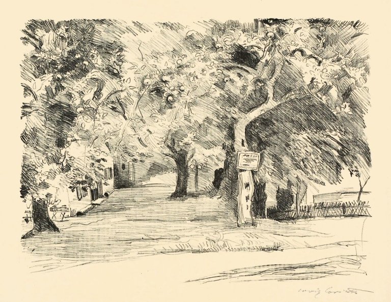 This picture shows the following artwork: Lovis Corinth. „Obstgarten“. 1912.