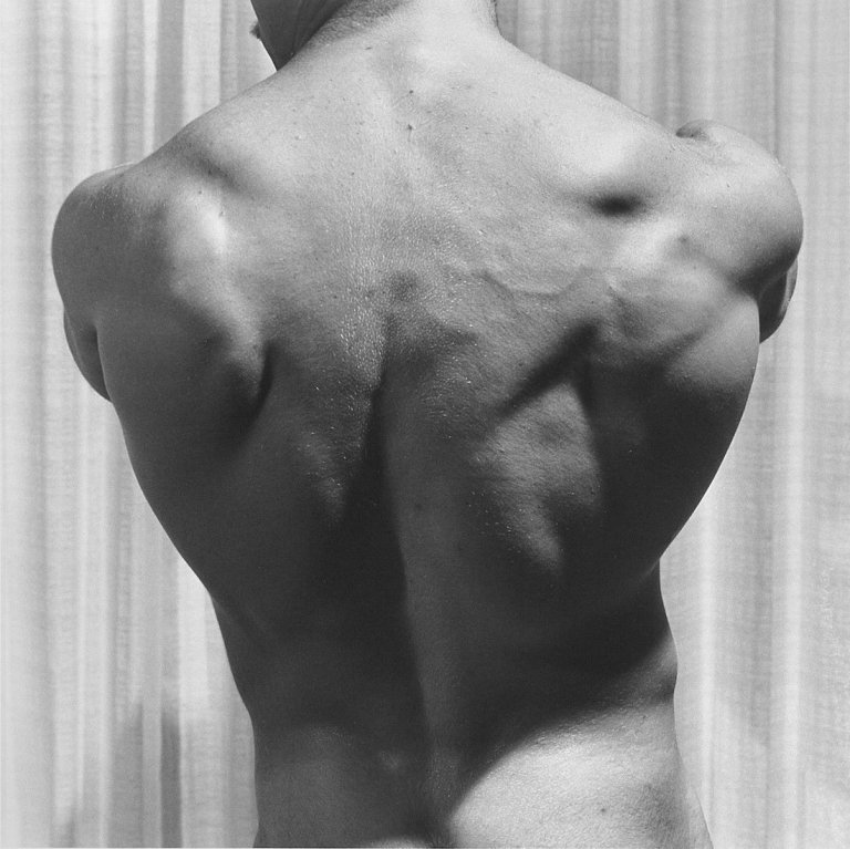 Auf diesem Bild ist das folgende Kunstwerk zu sehen: Robert Mapplethorpe. Jim Enger, San Francisco.. 1980.
