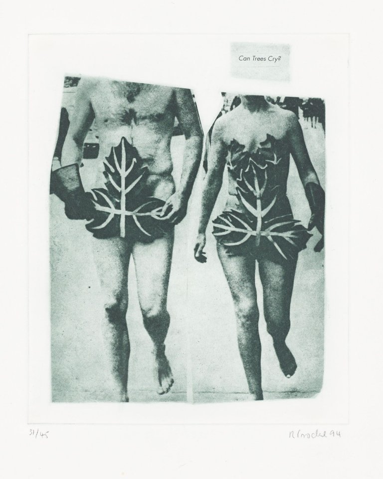 Auf diesem Bild ist das folgende Kunstwerk zu sehen: Rosemarie Trockel. „Can trees cry?“. 1994.