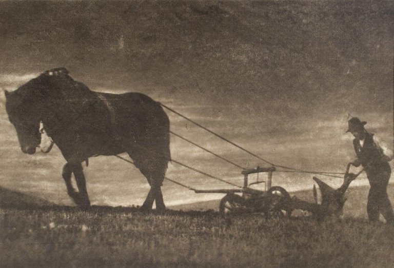 This picture shows the following artwork: August Sander. Der Bauer. 1919.