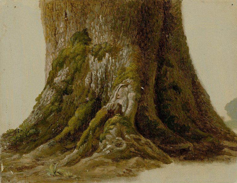 Auf diesem Bild ist das folgende Kunstwerk zu sehen: Carl Ludwig Frommel. Wurzelfuß eines Feldahorns. 1812.