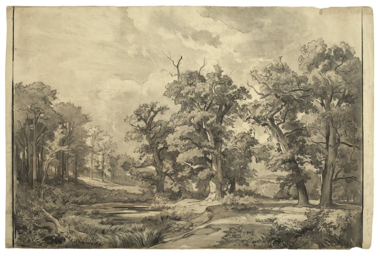 This picture shows the following artwork: Carl Hummel. Waldlichtung. 1881.