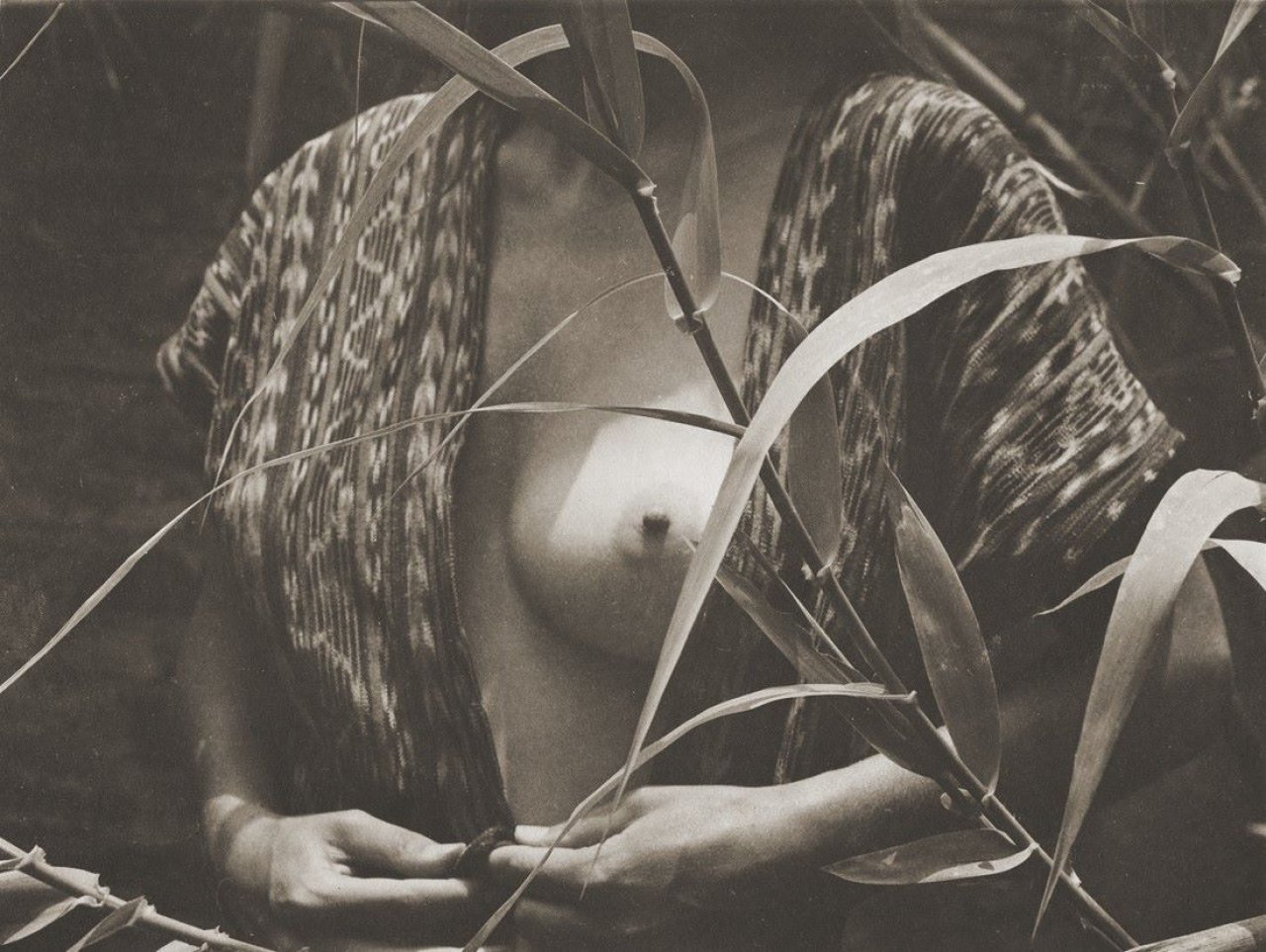 Auf diesem Bild ist das folgende Kunstwerk zu sehen: Manuel  Álvarez Bravo. Fruta prohibida, Mexico. 1976.